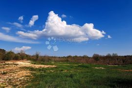 Građevinska zemljišta nedaleko Vodnjana, Vodnjan, Land