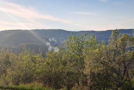 Poljoprivredna zemljišta u Račiškom Brijegu, Buzet, Terra