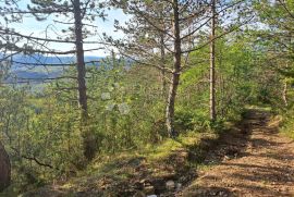 Poljoprivredna zemljišta u Račiškom Brijegu, Buzet, Terra