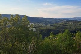 Poljoprivredna zemljišta u Račiškom Brijegu, Buzet, Terra