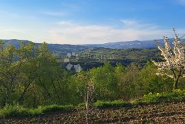 Poljoprivredna zemljišta u Račiškom Brijegu, Buzet, Terra