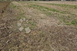 Veliko poljoprivredno zemljište, Gornji Kneginec, أرض