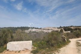 IZVRSNA POSLOVNA PRILIKA - EKSPLOATACIJSKO POLJE NA BRAČU, Nerežišća, Land