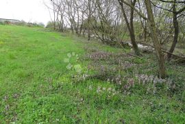 Žužići, Istra - teren za tri vile, Tinjan, Land