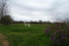 Žužići, Istra - teren za tri vile, Tinjan, Land