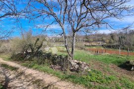 Grožnjan,okolica, građevinsko zemljište na kraju naselja, Grožnjan, Terreno