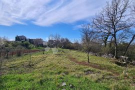 Grožnjan,okolica, građevinsko zemljište na kraju naselja, Grožnjan, Land