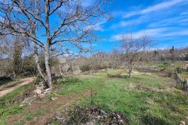 Grožnjan,okolica, građevinsko zemljište na kraju naselja, Grožnjan, Terreno