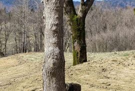 Zemljište s predivnom prirodom, potočićem i jezercem, Ogulin, أرض