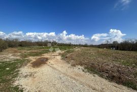 PROSTRANO ZEMLJIŠTE U BLIZINI POREČA, Poreč, Arazi