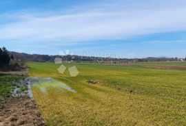 GRAĐEVINSKO I VELIKO POLJOPRIVREDNO ZEMLJIŠTE JALŽABET, Jalžabet, Γη