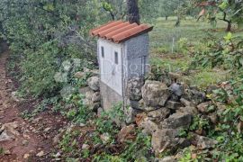 ZEMLJIŠTE NA RUBU URBANIZACIJE U BLIZINI MORA, Marčana, Land