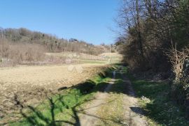 Veliko Trgovišće, rodajemo kvalitetno poljoprivredno zemljište, Veliko Trgovišće, Arazi