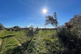 Građevinsko zemljište turističke namjene, Poreč, Land