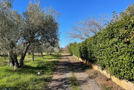 Građevinsko zemljište turističke namjene, Poreč, Land