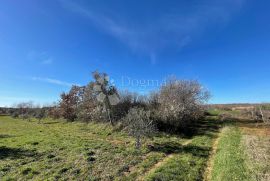 Građevinsko zemljište turističke namjene, Poreč, Land