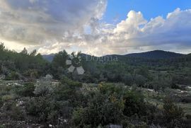 POLJOPRIVREDNO ZEMLJIŠTE ČARA, Korčula, Земля