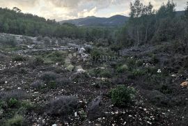 POLJOPRIVREDNO ZEMLJIŠTE ČARA, Korčula, Земля