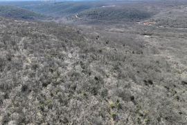 Šuma za sječu drva, Marčana, Terrain