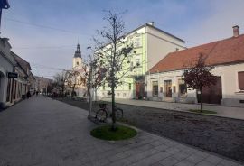 KUĆA SA UMJETNIČKOM GALERIJOM U PJEŠAČKOJ ZONI ČAKOVCA, Čakovec, Famiglia