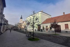 KUĆA SA UMJETNIČKOM GALERIJOM U PJEŠAČKOJ ZONI ČAKOVCA, Čakovec, Дом