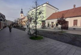 KUĆA SA UMJETNIČKOM GALERIJOM U PJEŠAČKOJ ZONI ČAKOVCA, Čakovec, Дом