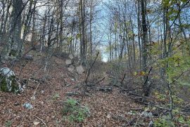 Poljoprivredno zemljište - Zvoneća, Matulji, Arazi