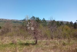 PREKRASNO GRAĐEVINSKO ZEMLJIŠTE S POGLEDOM NA ĆIĆARIJU, Buzet, Zemljište