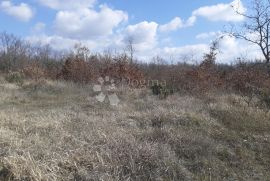 Poljoprivredno zemljište na atraktivnoj lokaciji, Vodnjan, Land