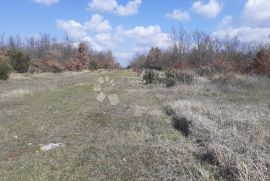 Poljoprivredno zemljište na atraktivnoj lokaciji, Vodnjan, Terreno