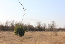 Poljoprivredno zemljište na atraktivnoj lokaciji, Vodnjan, Land