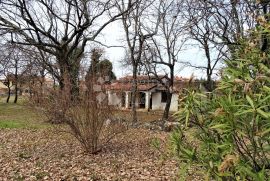 Poreč - velik teren s objektima, građevinski !, Poreč, House