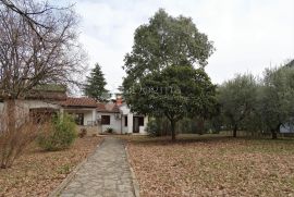 Poreč - velik teren s objektima, građevinski !, Poreč, House