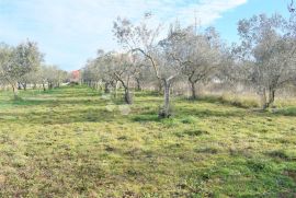 EKSLUZIVNO GRAĐEVINSKO ZEMLJIŠTE NA TOP LOKACIJI, Fažana, Land