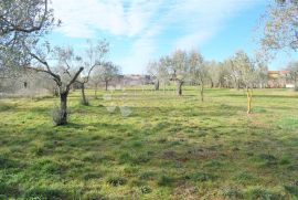 EKSLUZIVNO GRAĐEVINSKO ZEMLJIŠTE NA TOP LOKACIJI, Fažana, Land