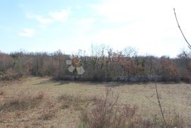 2 ha zemljišta sa započetom gradnjom, građevinskom dozvolom i plaćenim komunalijama, Svetvinčenat, Terra