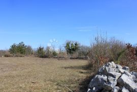 2 ha zemljišta sa započetom gradnjom, građevinskom dozvolom i plaćenim komunalijama, Svetvinčenat, Terra