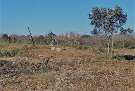 Zemljište između Barbarige i Peroja, Vodnjan, Land