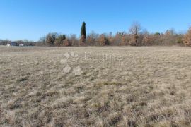 Prostrano zemljište u okolici Barbana, Barban, Tierra