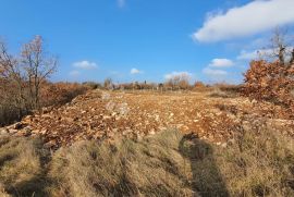 VISOKO POTENCIJALNI KOMPLEKS GRAĐEVINSKOG I POLJOPRIVREDNOG ZEMLJIŠTA, Vodnjan, Tierra