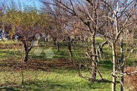 Prekrasna kuća kompletno namještena Cvetlin, Bednja, Kuća