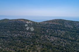 PELJEŠAC 75.300 M² IDEALNO ZA POSAO, Trpanj, Tierra