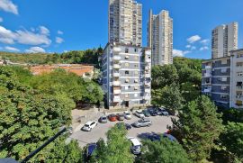 Jelićeva ulica komforan 1SKL 42 m², Rijeka, Daire