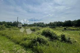 Prodajemo poljoprivredno zemljište 17.346 m², Barban, Land