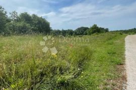 Prodajemo poljoprivredno zemljište 17.346 m², Barban, Land