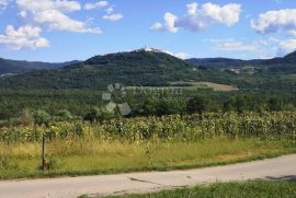 LIVADE , okolica, dvije kamene kuće sa pogledom na Motovun, Oprtalj, Kuća