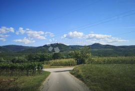 LIVADE , okolica, dvije kamene kuće sa pogledom na Motovun, Oprtalj, Kuća