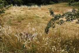 Vodnjan-građevinski teren u blizini centra!, Vodnjan, Terrain