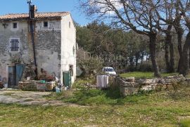 Atraktivno zemljište u okolici Rovinja, Rovinj, Land