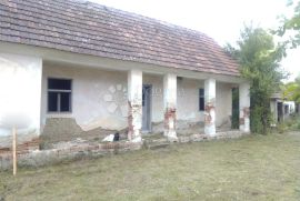 Kuća sa zemljom 1958m2, Orahovica, Casa